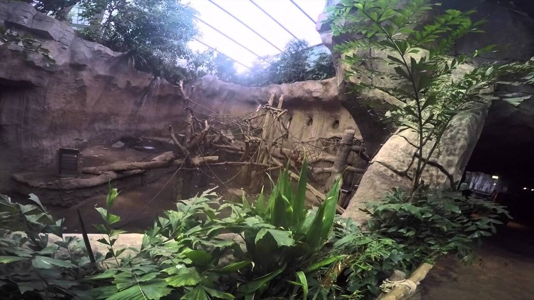 Zoobesuch Leipzig mit Freunden. Youtube-Link
