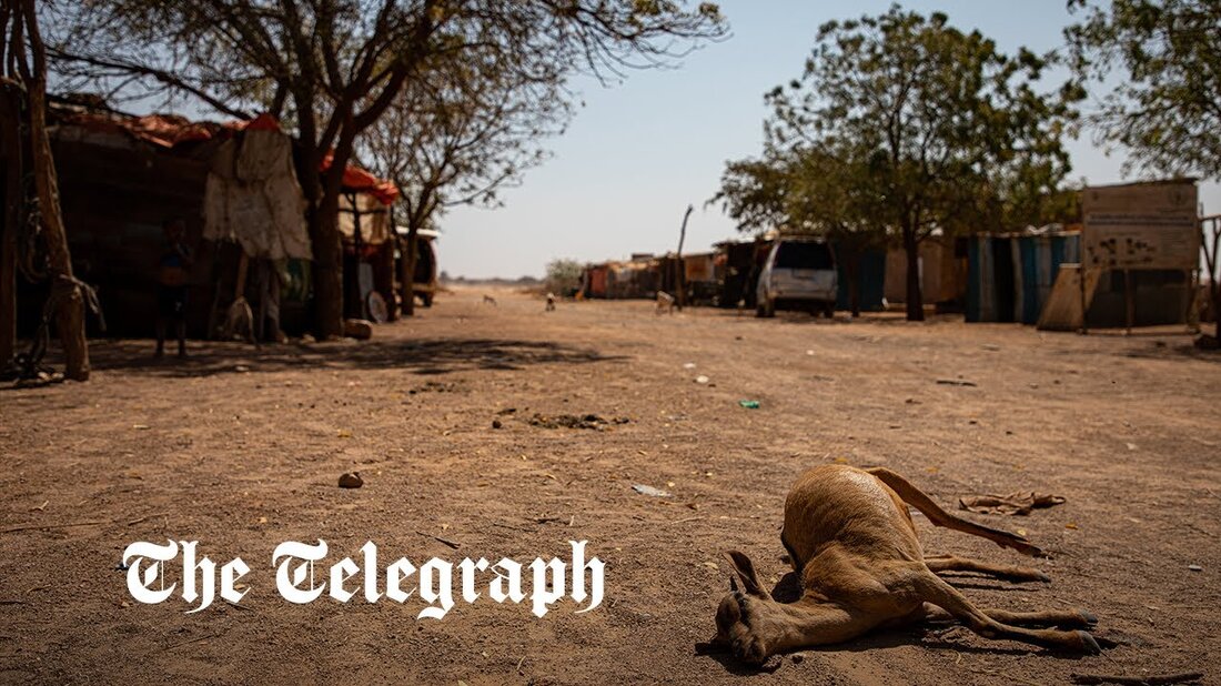 Das Horn von Afrika ist mit einer der schlimmsten Dürren seit Beginn der Aufzeichnungen konfrontiert. Etwa 14 Millionen Menschen in Äthiopien, Kenia und Somalia sind von schwerem Hunger und Wasserknappheit bedroht. In Somaliland, einer autonomen Region im Norden Somalias, hat es seit April 2021 nicht mehr geregnet. Amina Jama Ismail, 40, die mit ihren acht Kindern im Dorf Xidhinta lebt, sagte gegenüber ActionAid: „Früher gab es viel Regen und Wasser, aber jetzt hat sich das Klima geändert. Jedes Mal, wenn der Frühling erwartet wird, wird eine Dürre ihn ersetzen.“ Sie sagte, Essen und Wasser seien die dringendsten Bedürfnisse, da die &hellip;