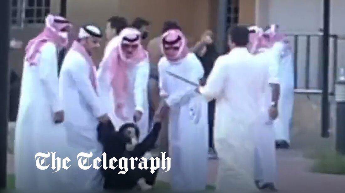 Saudi-Arabien untersucht ein beunruhigendes Video, das zeigt, wie Sicherheitskräfte junge Frauen schlagen und an den Haaren herumzerren, nachdem sie Berichten zufolge wegen schlechter Lebensbedingungen in einem Waisenhaus in einen Hungerstreik getreten sind. Es kam, als eine saudische Frau wegen in sozialen Medien geposteter Kommentare zu mehr als 40 Jahren Gefängnis verurteilt wurde, die zweite harte Strafe, die diesen Monat gegen weibliche Online-Aktivisten verhängt wurde. Das Video, das Saudis schockiert hat, nachdem es viral geworden ist, zeigt die Gruppe von Männern, die Frauen in schwarzen Abayas niederhalten, während sie mit Gürteln und Stöcken gepeitscht werden. Die Männer zogen die Frauen nicht &hellip;