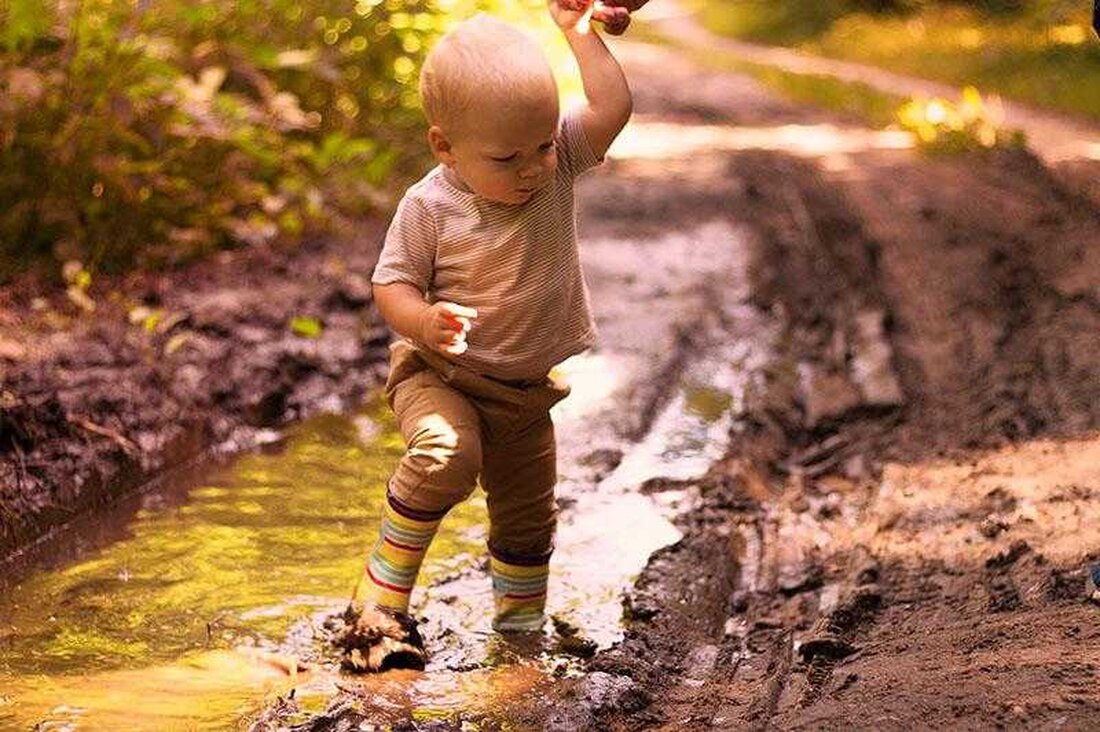 Die Finnen sind seit langem für ihre innovativen Ansätze für Gesundheit und Wellness bekannt, und ihr neuestes Programm bildet da keine Ausnahme. Kindertagesstätten in Finnland haben ein einzigartiges Waldreservat eingerichtet, das sich positiv auf das Immunsystem von Kindern ausgewirkt hat. Dieses innovative Programm bietet eine aufregende neue Möglichkeit, Gesundheit und Wohlbefinden bei Kindern auf der ganzen Welt zu fördern. Die Kraft der Natur Die Idee, die Natur für Gesundheit und Wohlbefinden zu nutzen, ist nicht neu. Seit Jahrhunderten suchen Menschen wegen ihrer beruhigenden und erholsamen Wirkung Trost in der Natur. Aber das Konzept, einen Wald zu nutzen, um das Immunsystem …