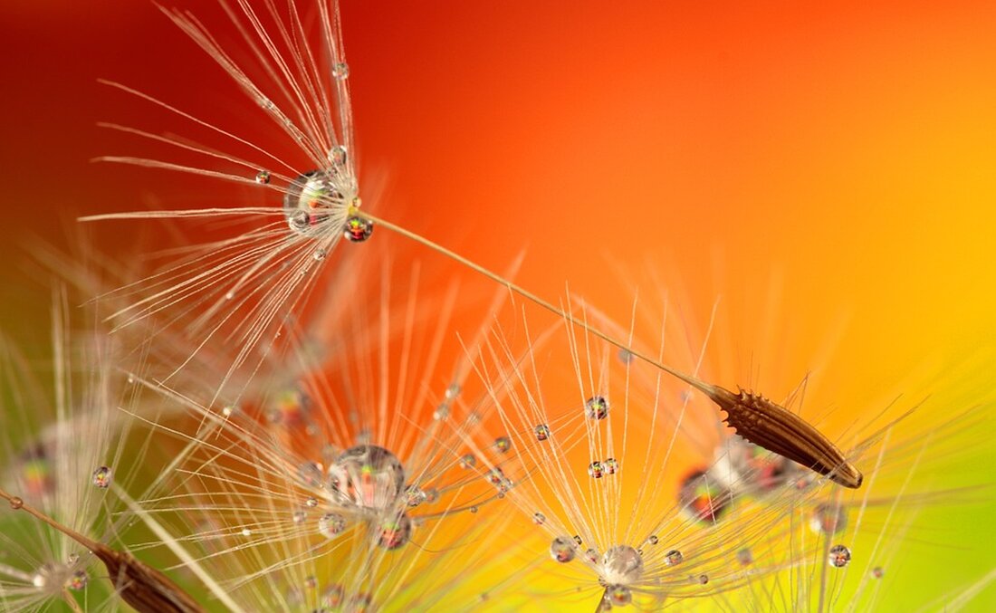 Hessen und Baden-Württemberg haben Vertreterinnen und Vertretern aus Politik und Branche eingeladen, um über Chancen und Möglichkeiten der Satellitenkommunikation zu diskutieren. Die Satellitenkommunikation kann bei Ausfällen von Netzen ein Mindestmaß an Kommunikation gewährleisten und Chaos verhindern. Hessens Digitalministerin Prof. Dr. Kristina Sinemus betonte, dass Deutschland und Europa den gemeinsamen Standortvorteil nutzen und ausbauen müssen, um souverän und resilient zu sein. Ministerialdirektor Stefan Krebs betonte, dass die Satellitenkommunikation in den am stärksten unterversorgten Gebieten eine schnelle und praktikable Übergangslösung schaffen soll. Sie kann Menschen in Stadt und Land gleiche Chancen auf gigabitfähige Netze bieten. Hessen und Baden-Württemberg diskutieren mit Vertreterinnen und …