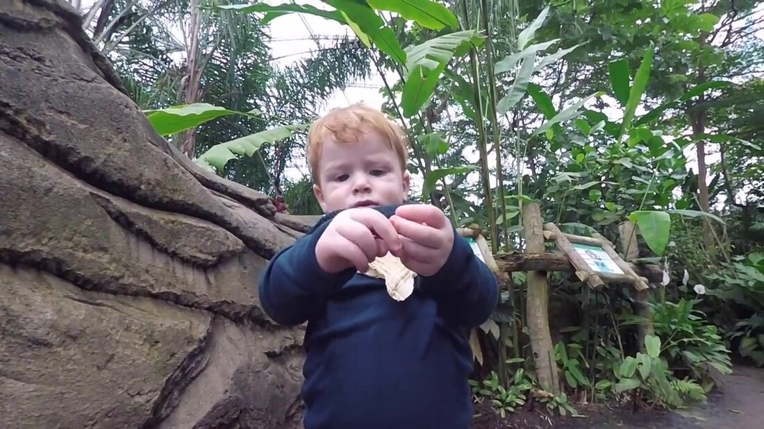 Ein Besuch im Leipziger Zoo auf dem Weg nach Berlin. Youtube-Link