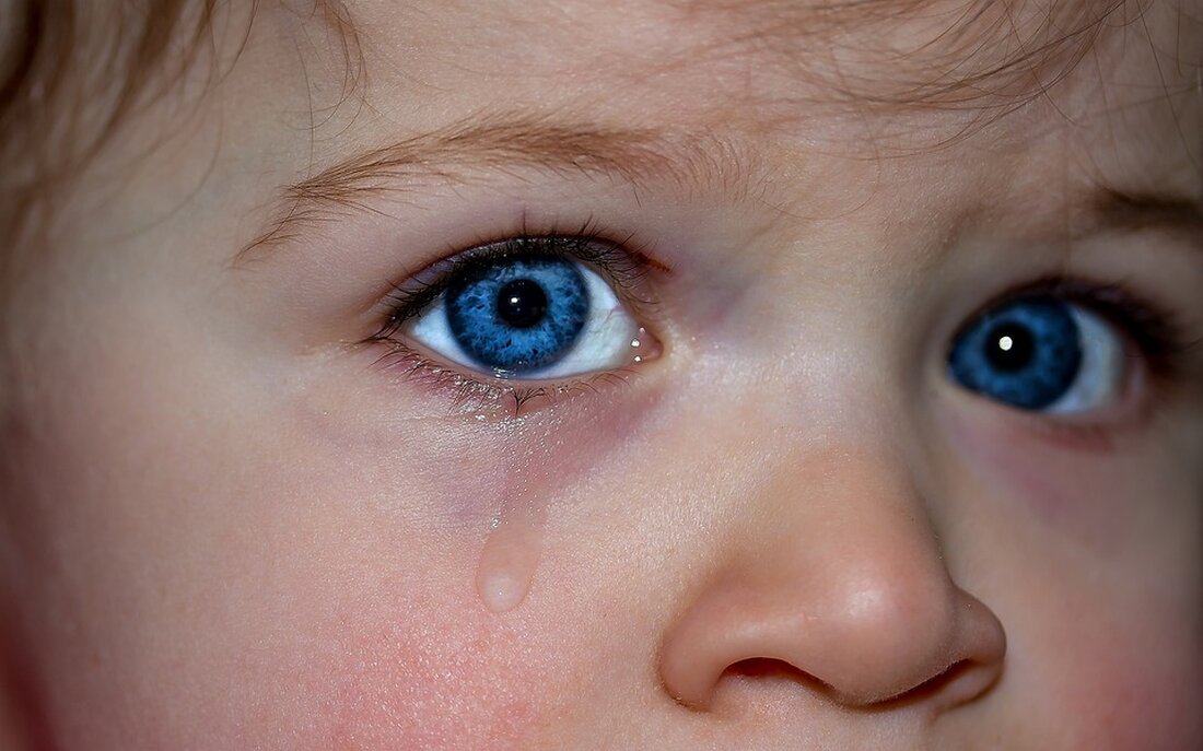 Ein erfolgreiches 24-Stunden-Rennen für den guten Zweck Mit einer Rekordsumme ist das 24-Stunden-Rennen „Kinderaugen sollen leuchten“ in Oschatz zu Ende gegangen. Dabei musste ausgerechnet der Initiator den 500-Kilometer-Rundkurs abbrechen. 20 Teams und fünf Einzelstarter auf der 500-Kilometer-Strecke Sichtlich geschafft, aber auch glücklich haben die Teilnehmer ihre 500-Kilometer-Strecke am Sonntag erfolgreich beendet. Am Tag zuvor waren 20 Teams und fünf Einzelstarter auf die Strecke gegangen, um den Herausforderungen des 24-Stunden-Rennens standzuhalten. Unter dem Motto „Kinderaugen sollen leuchten“ hatte Initiator Steven Dornbusch erneut zur Teilnahme aufgerufen. Ein Euro pro Kilometer für den guten Zweck Der Initiator hatte sich eine besondere Spendenaktion überlegt. …