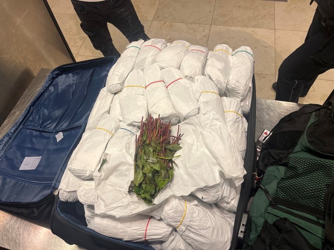 Zollbeamte am Flughafen Berlin Brandenburg haben einen 28-jährigen Israeli mit 31 Kilogramm Kathblättern im Gepäck gestoppt. Aufgrund von Verstößen gegen das Betäubungsmittelgesetz wurde ein Strafverfahren eingeleitet. Erfahren Sie mehr über die Hintergründe und die rechtlichen Konsequenzen.