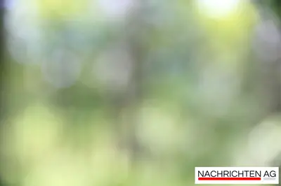 Achtung in Baden-Württemberg: Der giftige Schwarzblaue Ölkäfer ist da!