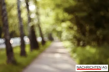 Harald Schmidt: So lebt der Entertainer trotz niedriger Rente!