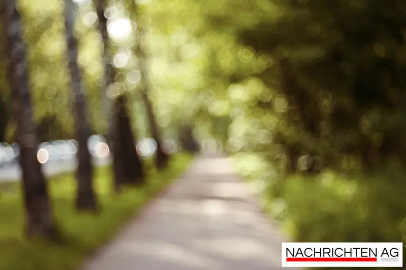 Stromausfall in Neuenstein: Techniker arbeiten rund um die Uhr!