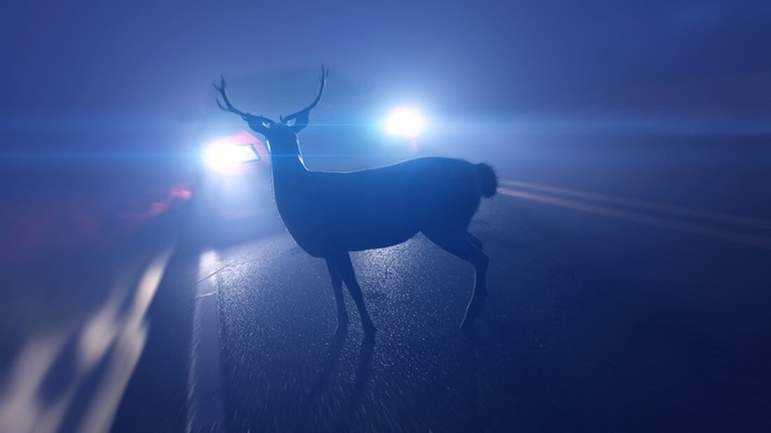 Im Frühjahr häufen sich Wildunfälle in Nordthüringen. Die Polizei gibt wichtige Hinweise zur Unfallvermeidung und Sicherheit.