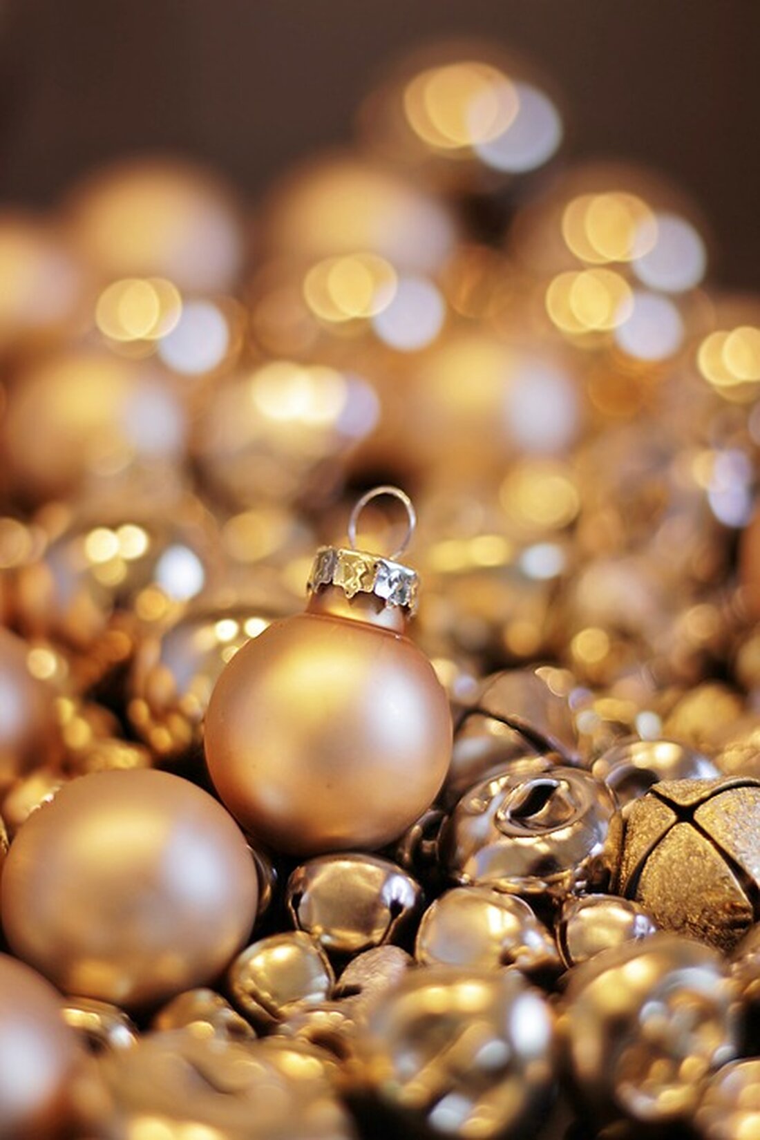 Vielfältige Veranstaltungen Kostenpflichtig: Von Hütten-Gaudi bis Bratapfel-Aufguss: Oschatz stimmt auf den Advent ein Die Oschatzerinnen und Oschatzer können in diesem Jahr die Adventszeit ganz besonders genießen. Für Weihnachtsfans, Partyfreunde, Musikliebhaber und Familien gibt es viele Angebote. Oschatz. Das Vorzeichen für die Adventszeit schwingt seit dem vergangenen Wochenende ganz weit oben zwischen den Türmen der St. Aegidienkirche. Am kommenden Sonnabend – einen Tag vor dem ersten Advent – soll der Stern dann erleuchtet werden. Den Oschatzerinnen und Oschatzern wird in den drei Wochen bis zum Fest viel geboten – eine Übersicht. Wie im Vorjahr wird auch diesmal ein Kinderkarussell auf dem …