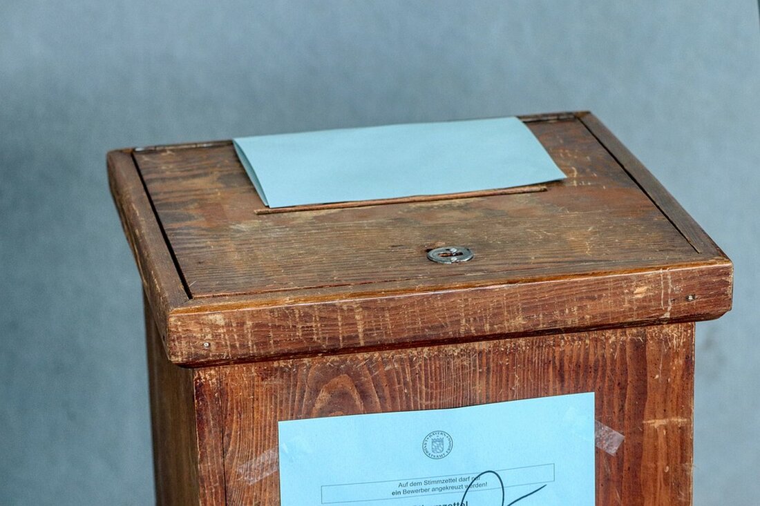 Aktuelle Umfragen zeigen die AfD an der Spitze der Brandenburg-Wahl. SPD verbessert sich ebenfalls. Wahl am 22. September.