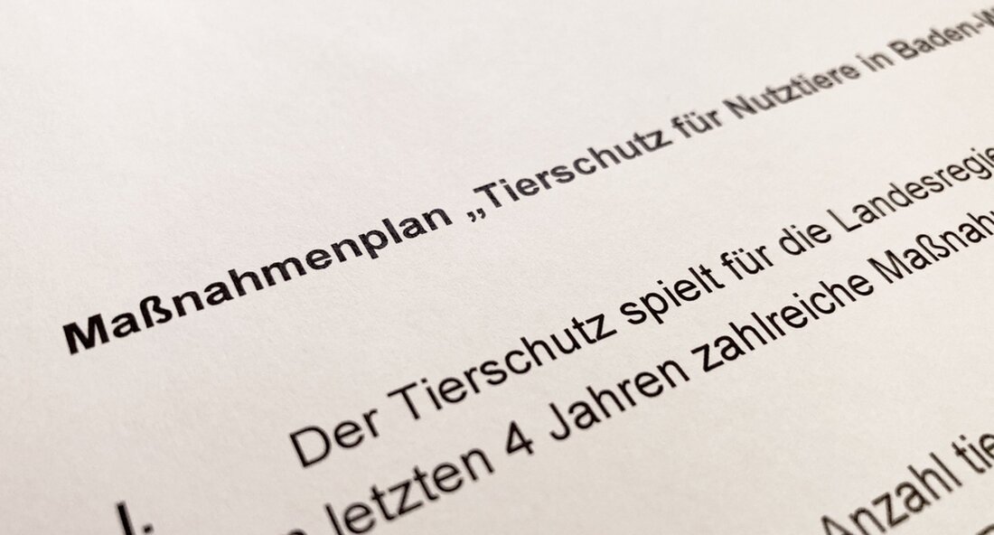Landwirtschaftsminister Peter Hauk hat einen Maßnahmenplan zur Stärkung des Tierschutzes im Umgang mit Nutztieren vorgelegt. Ein Förderprogramm für mehr Tierschutz ist ebenfalls geplant. „Baden-Württemberg setzt auf die Herstellung hochwertiger lokaler Lebensmittel. Das erklärte Ziel und soziale Mandat ist, dass Nutztiere in einer dem Tierschutz angemessenen Weise gehalten und geschlachtet werden. Um den Tierschutz weiter zu stärken, haben wir in den letzten Wochen einen entsprechenden Aktionsplan ausgearbeitet, mit dem wir unser Land in dieser Frage voranbringen werden „, sagte der Minister für ländliche Gebiete und Verbraucherschutz. Peter Hauk. Der Plan sieht die Weiterentwicklung bestehender Maßnahmen vor. Zahlreiche neue Maßnahmen sollten auch …