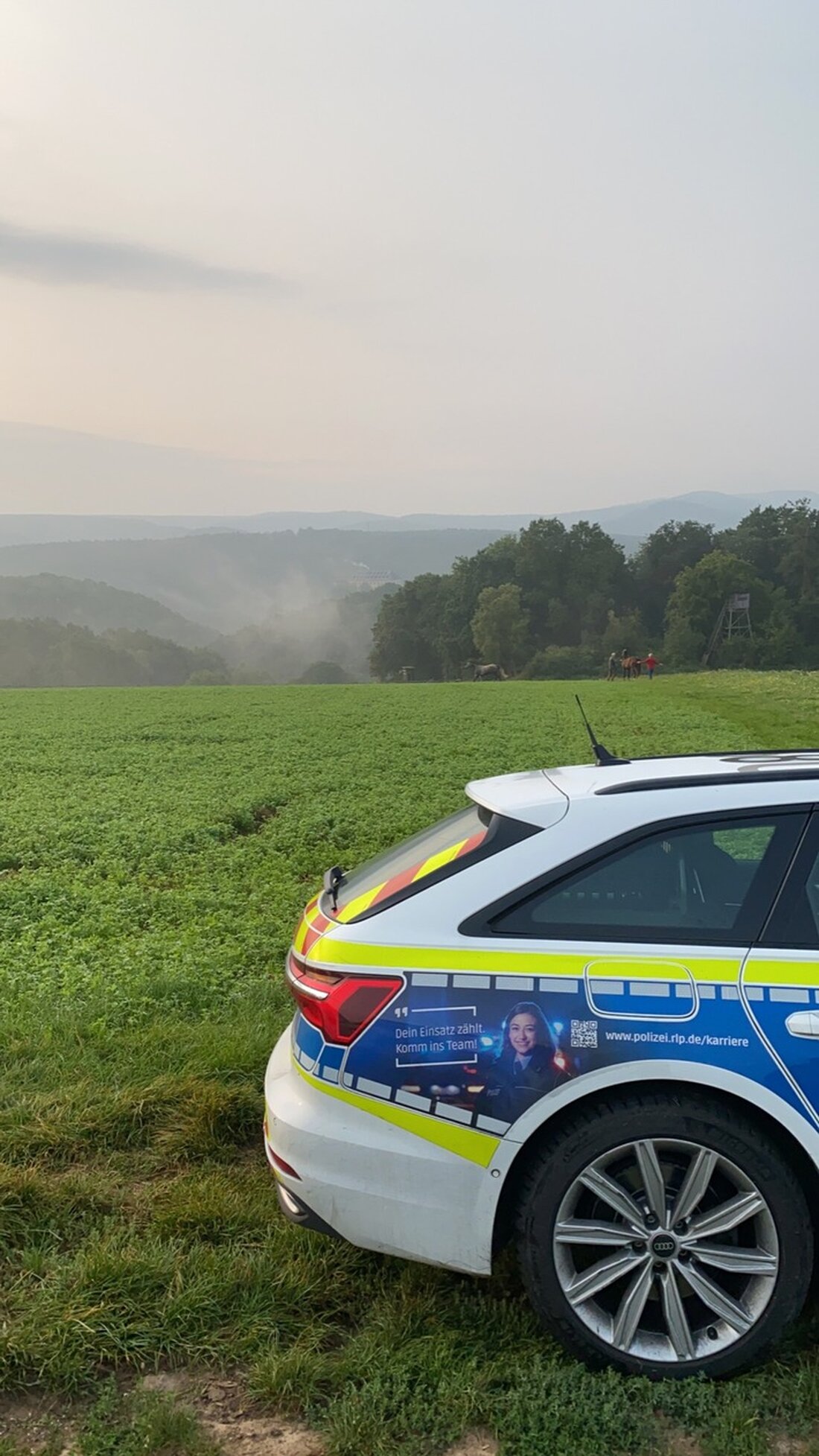 Ein 60-jähriger Kleinkraftradfahrer ohne Führerschein wurde am Ostermontag in Laumersheim wegen Trunkenheit im Verkehr kontrolliert.