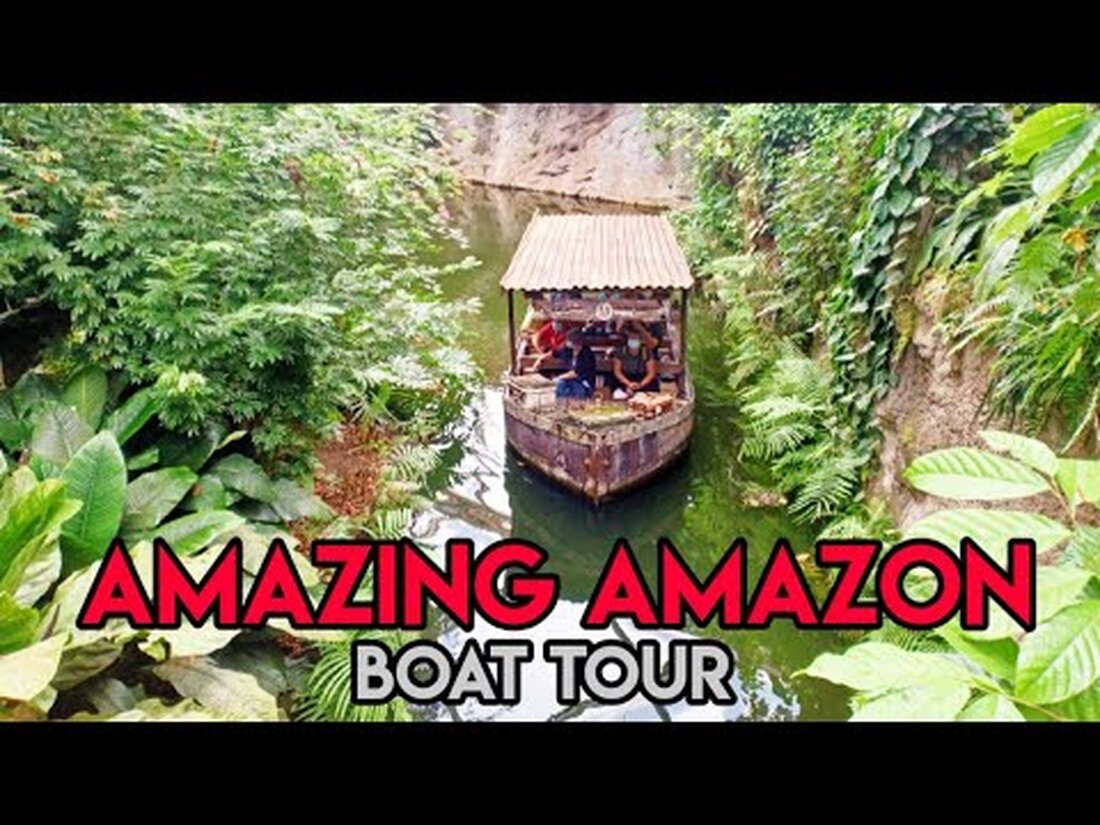Amazing Amazon Boat Tour – Zoo Leipzig – Deutschland Deutschland, Deutschland, Reise-Vlog, Reise-Vlogger, Banglavlog, Bengalivlog, Lifeingermany, Leben in Deutschland, Leipziger Zoo in Deutschland, Leipziger Zootiere, Leipziger Zoo Amazon, Leipziger Zoo Bootstour, Amazonas Bootsfahrt , Amazon River Boat Tour, Gondwanaland, Bootsfahrt Gondwanaland —————- Musik verwendet Jungle Floor – von Jonny Easton Link: https://youtu.be/FtJ03-g83Yg. Youtube-Link