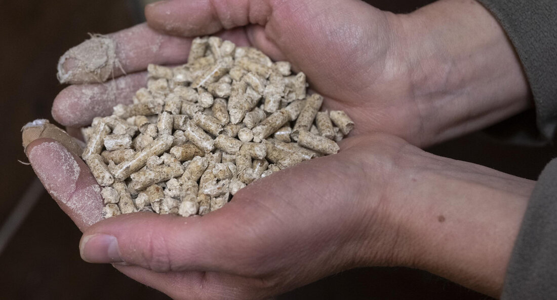 Ab sofort können private Haushalte, die mit Öl, Pellets und anderen nicht leitungsgebundenen Energieträgern heizen und im Jahr 2022 besonders stark von Preissteigerungen betroffen waren, rückwirkend Härtefallhilfen beantragen. Das Land hat auch eine Telefon-Hotline eingerichtet. Ab heute, 8. Mai 2023, können private Haushalte, die mit Öl und anderen nicht leitungsgebundenen Energieträgern heizen, eine Härtefallhilfe rückwirkend für das Jahr 2022 beantragen. Diese soll Haushalte entlasten, die im Jahr 2022 von besonders starken Preissteigerungen bei Heizöl, Flüssiggas, Holzpellets, Holzhackschnitzeln, Holzbriketts, Scheitholz und Kohle beziehungsweise Koks betroffen waren. Die Hilfe kann nun über ein Online-Portal beantragt werden, das am 8. Mai 2023 in …