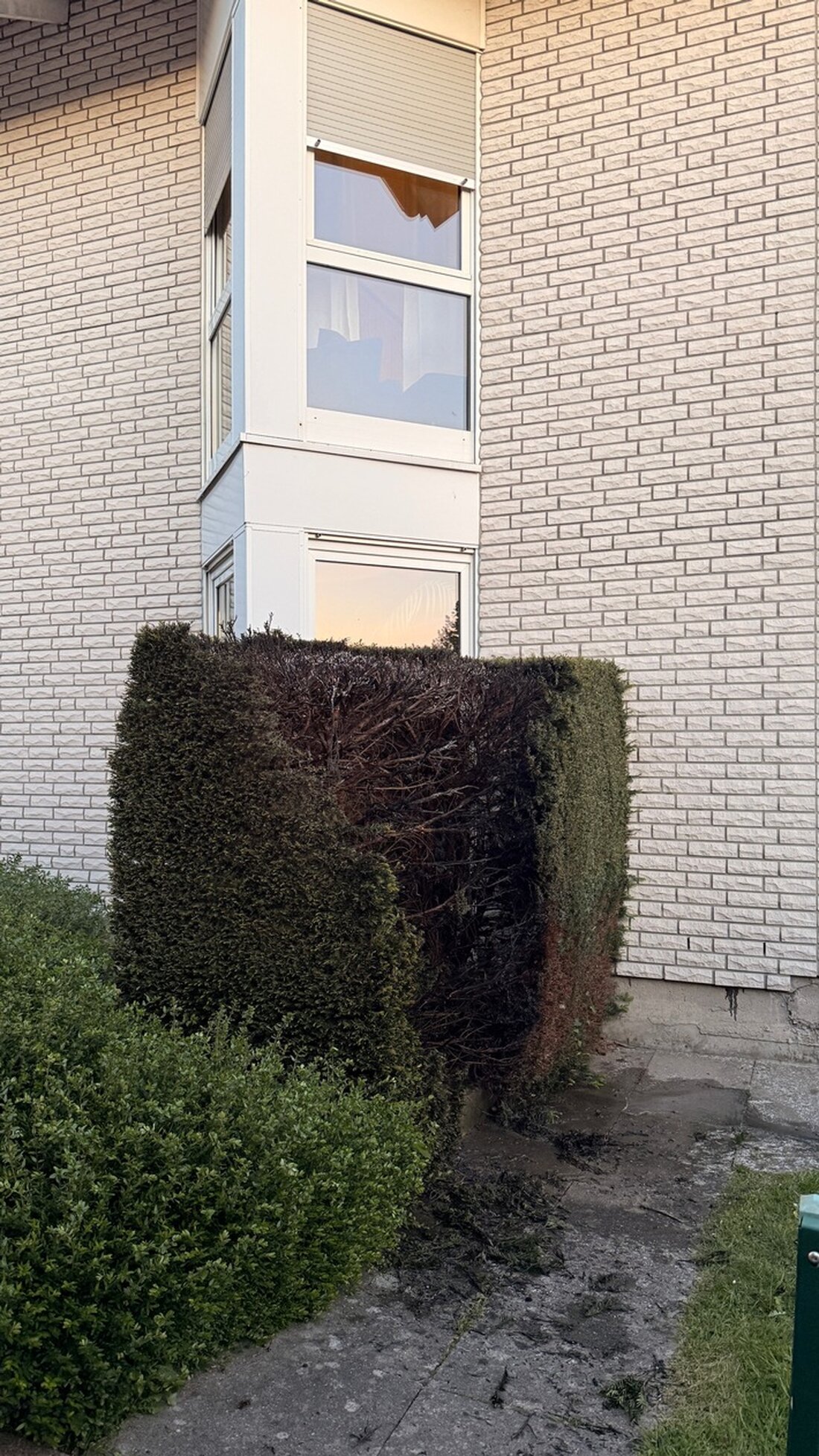 Am Samstagabend konnte die Feuerwehr Detmold dank aufmerksamer Anwohner einen Heckenbrand erfolgreich eindämmen und Schäden verhindern.