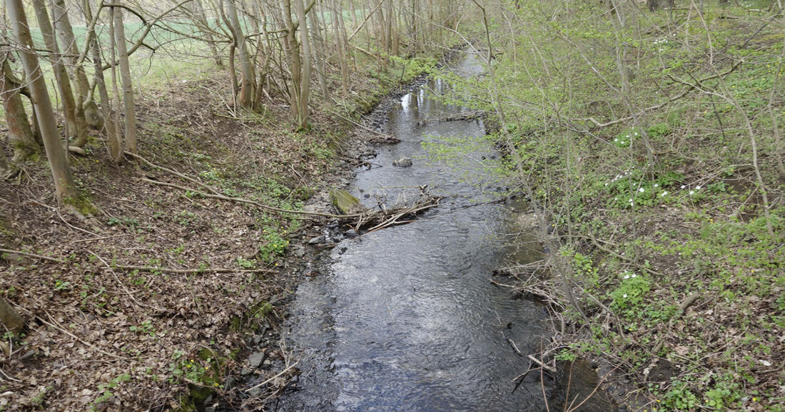 Auf dem Weg zur Auenrevitalisierung: Projekt Lebendige Luppe lädt zur Fachtagung Am Dienstag, 22. November 2022, lädt das Projekt Lebendige Luppe zur mittlerweile vierten Fachtagung unter dem Titel &#8222;Lebendige Luppe – Auf dem Weg zur Auenrevitalisierung&#8220; in den Leipziger KUBUS des Helmholtz-Zentrums für Umweltforschung (UFZ) ein. Die Renaturierung des Zschampert wird als erster Bauabschnitt im Projekt Lebendige Luppe umgesetzt. © NABU Sachsen Die Projektpartner/-innen Stadt Leipzig, Stadt Schkeuditz, Universität Leipzig, Helmholtz-Zentrum für Umweltforschung und NABU (Naturschutzbund Deutschland) Landesverband Sachsen e. V. präsentieren Vertreterinnen und Vertretern aus Wissenschaft, Verwaltung und Naturschutz sowie der interessierten Öffentlichkeit aktuelle Arbeitsstände und Ergebnisse der verschiedenen Projektbausteine. &hellip;