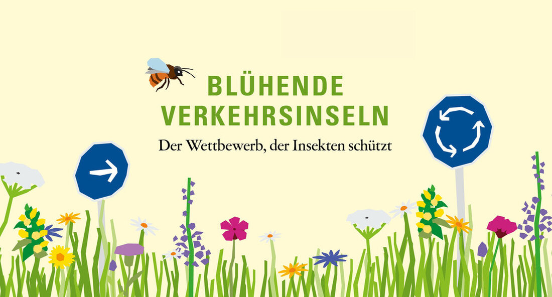 10 Siegerkommunen in Baden-Württemberg wurden beim Wettbewerb „Blühende Verkehrsinseln“ mit der „Goldenen Wildbiene“ ausgezeichnet. Das macht sie zum Vorbild für viele andere, die mehr für Insektenschutz und Biodiversität tun wollen. Mit der richtigen Pflege können unauffällige Stellen am Straßenrand zu attraktiven Blumenparadiesen für Insekten werden. Für ihr herausragendes Engagement für die Biodiversität zehn Gemeinden in ganz Baden-Württemberg mit der „Goldenen Wildbiene“ des Wettbewerbs „Blühende Verkehrsinseln“ Ausgezeichnet. „Wer heute auf den Straßen des Landes fährt, sieht, dass immer mehr getan wird, um Insekten mit Blumenstreifen zu schützen“, sagte Verkehrsminister Winfried Hermann. „Auch dank unseres Wettbewerbs um die ‚Blooming Traffic Islands‘ wir …