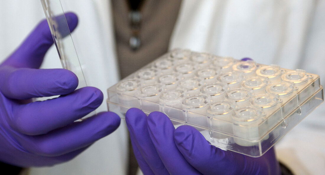 Das Land Baden-Württemberg hat sich zum Ziel gesetzt, Tierversuche durch alternative Methoden zu ersetzen und die Qualität notwendiger Experimente zu verbessern. Die 3R-Initiative (3R steht für „Replacement“, „Reduction“ und „Refinement“) wird vom Wissenschaftsministerium unterstützt, gemeinsam mit beteiligten Hochschulen, mit einem Budget von insgesamt bis zu 6,9 Millionen Euro. Seit 2020 wurde der Aufbau des 3R-Netzwerks in Tübingen, Konstanz, Stuttgart und im Raum Rhein-Neckar (Mannheim/Heidelberg) finanziert. Das Ziel der Initiative ist es, den Tierschutz in Forschung und Lehre zu verbessern und gleichzeitig die Qualität der biomedizinischen Forschung im Land zu fördern. Wissenschaftsministerin Petra Olschowski betonte bei einem Besuch der 3R-Zentren in &hellip;
