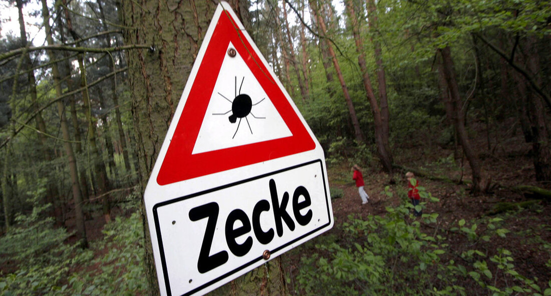Im Jahr 2020 wurden mit insgesamt 350 Fällen von Frühsommer-Meningoenzephalitis mehr als doppelt so viele Infektionen registriert wie im Vorjahr. Dies ist die höchste Zahl seit 2001. Im Jahr 2020 wurden insgesamt 350 Fälle von Meningoenzephalitis (FSME) im Frühsommer gemeldet Landesgesundheitsamt Baden-Württemberg (LGA) an den Stuttgarter Landrat weitergeleitet, mehr als doppelt so viele wie im Vorjahr 2019 mit 171 Fällen. Dies ist die höchste Anzahl registrierter Infektionen seit 2001. Zuvor wurde 2018 mit insgesamt 288 Fällen die höchste Anzahl beobachtet. „Das Robert Koch Institut identifiziert ganz Baden-Württemberg als FSME-Risikogebiet mit Ausnahme des Stadtteils Heilbronn. Es gibt keine spezifische Therapie gegen …