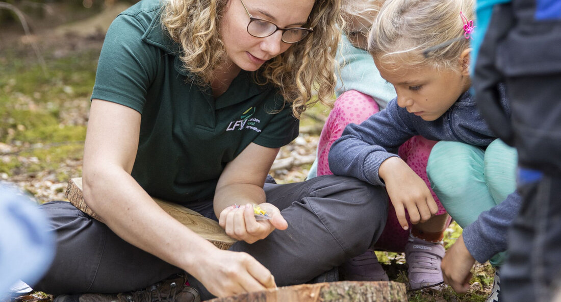 Wälder sind von unschätzbarem Wert und spielen eine entscheidende Rolle für das Klima, die Biodiversität und die Gesellschaft. Dies betonte der Minister für Ernährung, Ländlichen Raum und Verbraucherschutz, Peter Hauk, bei den zweiten Baden-Württembergischen Waldtagen. Die Veranstaltung diente dazu, auf die Bedeutung der Wälder und die Herausforderungen durch den Klimawandel aufmerksam zu machen. Die Waldstrategie Baden-Württemberg 2050 wurde entwickelt, um den Wald klimatolerant, resilient und zukunftsfähig zu machen. Angesichts der extremen Wetterereignisse wie Hitze, Trockenheit, Unwetter und Stürme ist die Anpassung des Waldes von großer Bedeutung. Deshalb unterstützt das Land Baden-Württemberg den Wald und die Waldbesitzer aktiv. Minister Hauk betonte, …