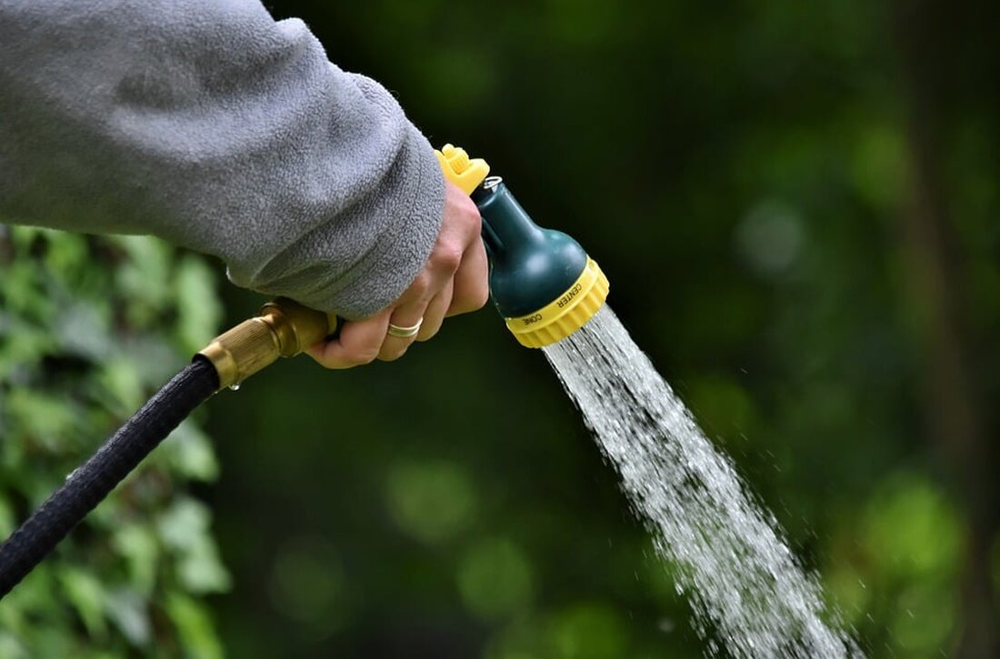 Hohe Bakterienwerte und Algenblüten in Berlin: Das Lageso warnt vor dem Baden im Teufelssee, Unterhavel und Dahme. Sicherheit geht vor!