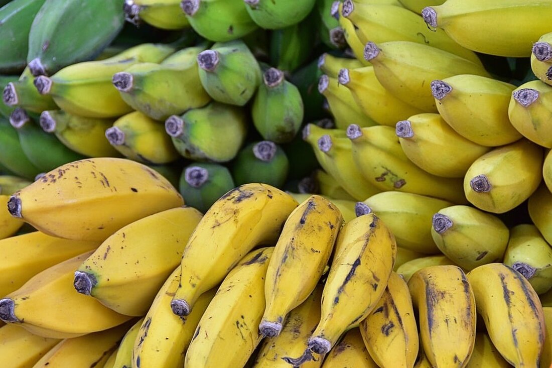 Entdecken Sie die faszinierende Welt von Ulrika Segerberg in der Ausstellung "The Banana Contact" ab dem 19. Oktober 2024 im mp43, Berlin. Tauchen Sie ein in farbenfrohe Malereien und kreative Objekte, die die symbolische Kraft der Banane feiern. Erleben Sie Kunst, die Spiel, Humor und tiefere Bedeutungen verbindet. Besuchen Sie uns jeden Donnerstag und Samstag von 15:00 bis 18:00 Uhr!