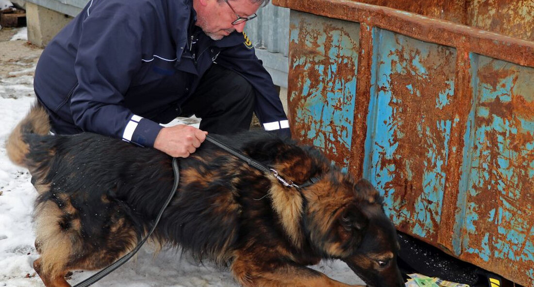 Neues Einsatzmittel auf 4 Pfoten: Banknotenspürhunde verstärken künftig Polizei Baden-Württemberg. Schon seit mehr als 100 Jahren werden Polizistinnen und Polizisten von Hunden begleitet. Wie wertvoll die Diensthunde sein können, stellen diese tagtäglich unter Beweis. Mit den Banknotenspürhunden schlägt die Polizei Baden-Württemberg nun ein weiteres Kapitel dieser Erfolgsgeschichte auf. „Kriminalistinnen und Kriminalisten leben von ihrem Wissen, ihrer Erfahrung und oftmals auch von ihrem kriminalistischen Gespür. Doch wir müssen immer wieder erleben, dass die Phantasie krimineller Personen keine Grenzen kennt. Dies erfordert eine intelligente und innovative Verbrechensbekämpfung sowie in vielen Fällen eine ganz besondere Spürnase. Mit unseren neuen Banknotenspürhunden haben wir nun …