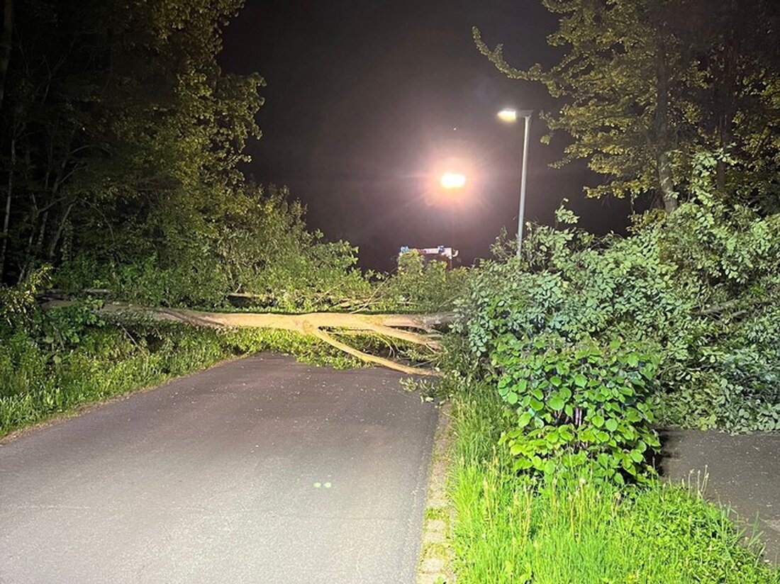 Die Feuerwehr Hünxe beseitigte am 29. April 2025 einen umgestürzten Baum, der die Straße Minnekenstege blockierte.