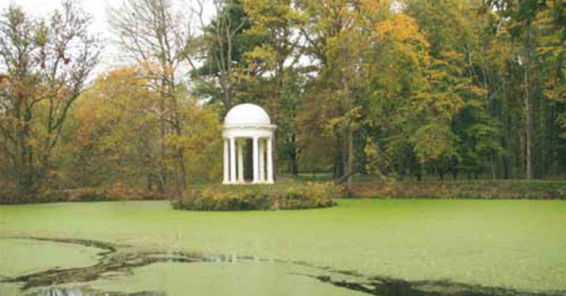 In einer Pressemitteilung wurde bekannt gegeben, dass im Schlosspark Lützschena umfangreiche Baumpflege- und Fällarbeiten begonnen haben. Diese Maßnahmen sind notwendig, da einige Bäume bereits abgestorben sind oder so stark geschädigt, dass sie für Fußgänger und Radfahrer eine potenzielle Gefahr darstellen. Insgesamt sollen bis Ende Februar 2024 rund 120 Bäume gefällt werden, wodurch vorübergehend einige Wege im Park gesperrt werden müssen. Um eine Gefährdung geschützter Arten und deren Habitate auszuschließen, arbeitet die Baumpflegefachfirma mit einer ökologischen Fällbegleitung zusammen. Die Notwendigkeit der Fällungen ist vor allem auf die anhaltende Hitze und Trockenheit der letzten Jahre zurückzuführen. Dies hat zu einer Schwächung der …