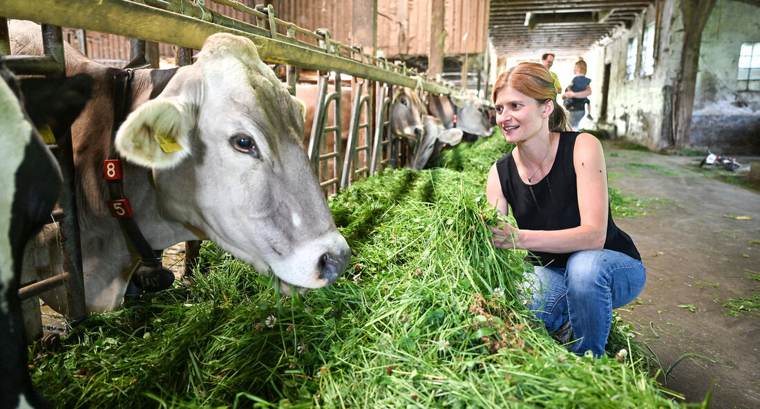 Anlässlich des Weltbauerntags und des Internationalen Tags der Milch am 1. Juni betonte Minister Peter Hauk die Bedeutung der Milch für die Sicherstellung der Versorgung mit regional erzeugten und hochwertigen Lebensmitteln. „Der Weltbauerntag und der zeitgleich stattfindende internationale Tag der Milch sind zwei wichtige Anlässe, um die wichtige Arbeit der Bäuerinnen und Bauern herauszustellen und daran zu erinnern, dass sie weltweit für die Menschen Lebensmittel erzeugen und bereitstellen. Der Internationale Tag der Milch ist zudem eine gute Gelegenheit, um auf die Bedeutung der regionalen Milchproduktion und -verarbeitung für die Erzeugung von qualitativ hochwertigen Nahrungsmitteln in der heimischen Wertschöpfungskette sowie deren …