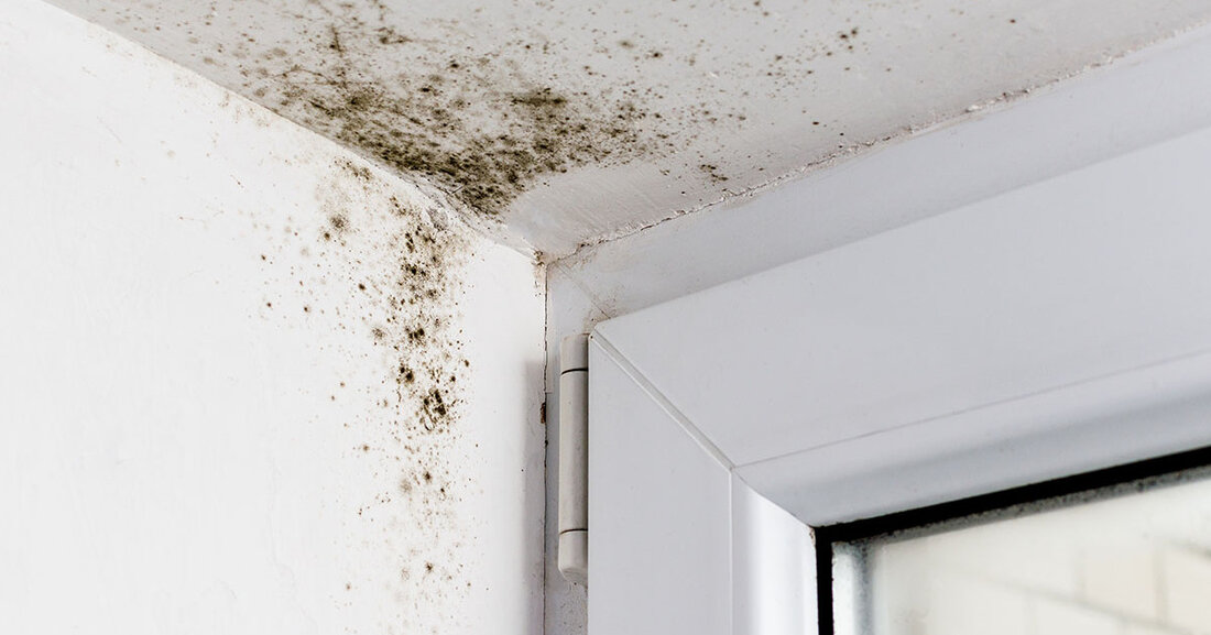 Beratung zu Schimmelpilzbefall in Wohnungen durch das Gesundheitsamt Das Gesundheitsamt, Sachgebiet Bauhygiene, bietet kostenfreie Beratungen zur Schimmelpilzproblematik sowie zum Lüftungs- und Heizverhalten an. Auch Untersuchungen zur Bestätigung von Schimmelpilzen sind möglich. Diese sind allerdings kostenpflichtig. © andrei310 &#8211; stock.adobe.com Bei Feuchtigkeit an den Wänden in der Wohnung oder sogar Verfärbungen oder schwarzen Flecken kann es sich um Schimmelpilze handeln, die möglicherweise zu ernsthaften gesundheitlichen Beschwerden wie Atemwegsbeschwerden, Reizungen oder auch unspezifischen Symptomen wie beispielsweise Kopfschmerzen und Müdigkeit führen können. Gerade bei Allergikern und gesundheitlich vorbelasteten Menschen können Schimmelpilzsporen zur Verschlechterung der bestehenden Symptomatik (vor allem Erkrankungen der Atemwege) oder auch &hellip;