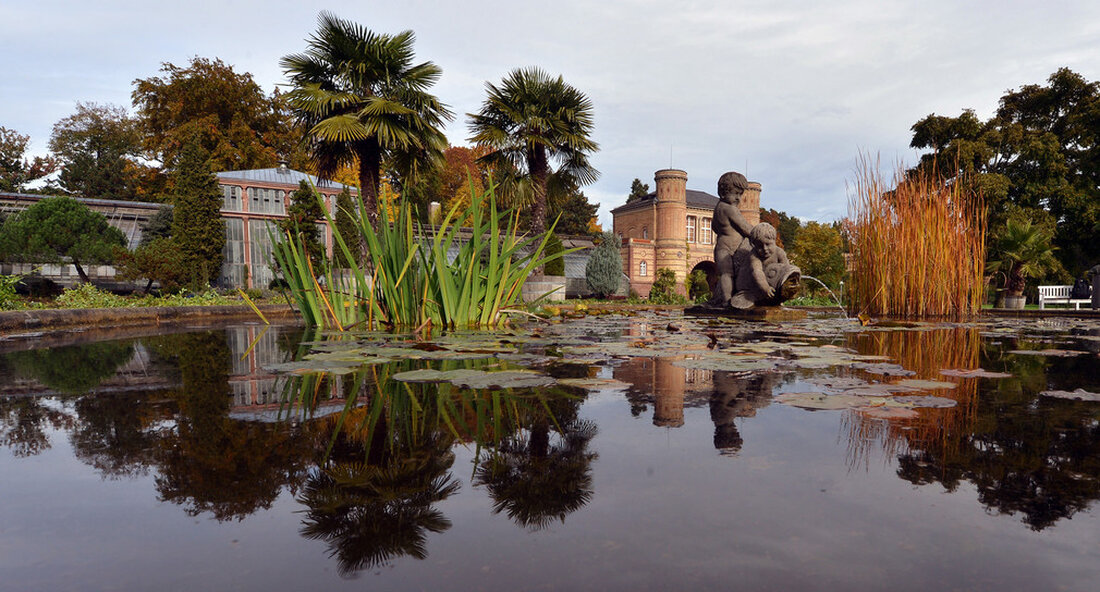 Die Schlossgärtnerei im Schlossgarten in Karlsruhe ist auf dem Weg, eine Gärtnerei gemäß der europäischen Bio-Verordnung zu werden. Die zweijährige Zertifizierungsphase läuft seit Sommer. Der Prozess wird nun um den Botanischen Garten mit seinen Showgewächshäusern erweitert. „Wie in den Palastgärten nutzen auch die Gärtner die Botanischer Garten auf umweltfreundliche Mittel. Anstelle von chemischen Pestiziden und Mineraldüngern werden nur natürliche Nährstoffe verwendet “, sagte der Finanzminister Gisela Splett. „Die Ausweitung der Bio-Zertifizierung auf den Botanischen Garten ist logisch.“ Der Botanische Garten geht auf Großherzog Karl Friedrich zurück, der ihn 1808 anlegen ließ. Nachdem der Baumeister Friedrich Weinbrenner den ersten Gesamtplan für …