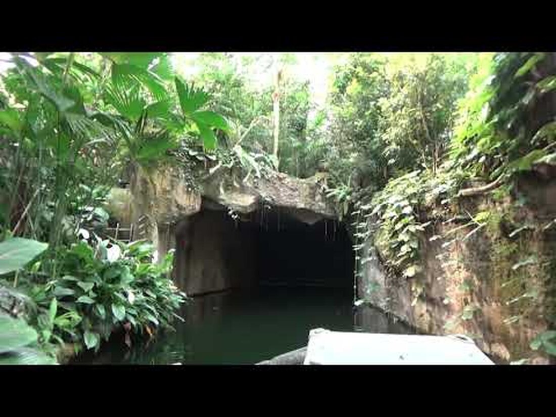 Ein Video vom Start bis zum Ende der Bootsfahrt in Gondwanaland. Leider waren die Tiere nicht am Wasser, aber es war immer noch interessant. . Youtube-Link