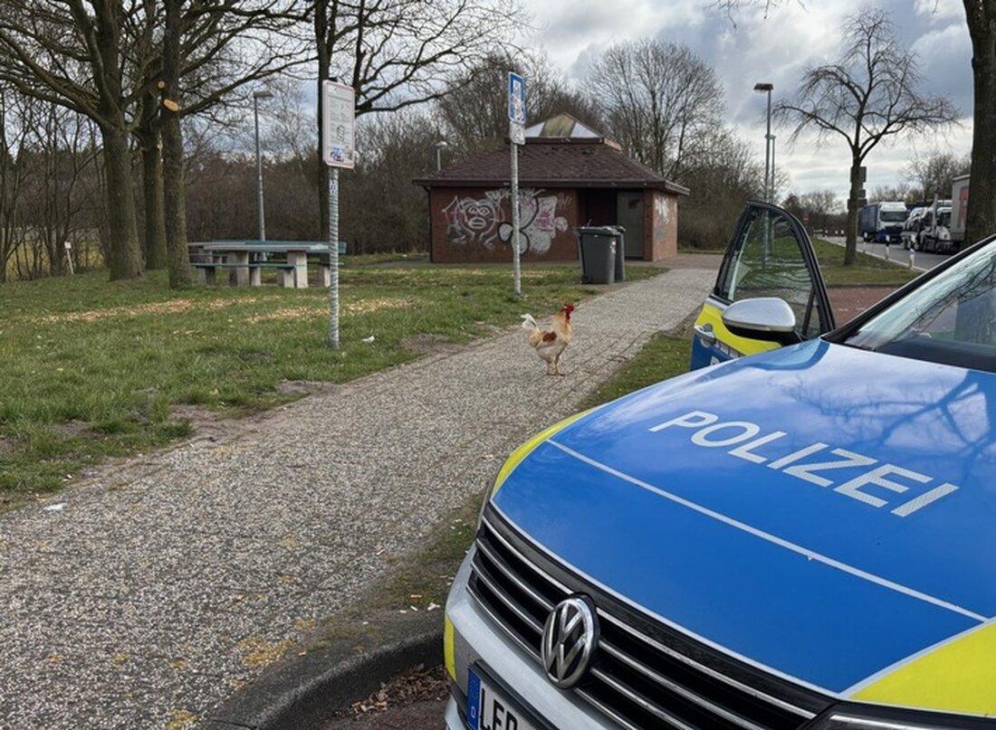 Die Polizeiinspektion Leer/Emden berichtet am 16.03.2025 über Körperverletzung, Diebstahl und Verkehrsunfälle. Zeugen gesucht!
