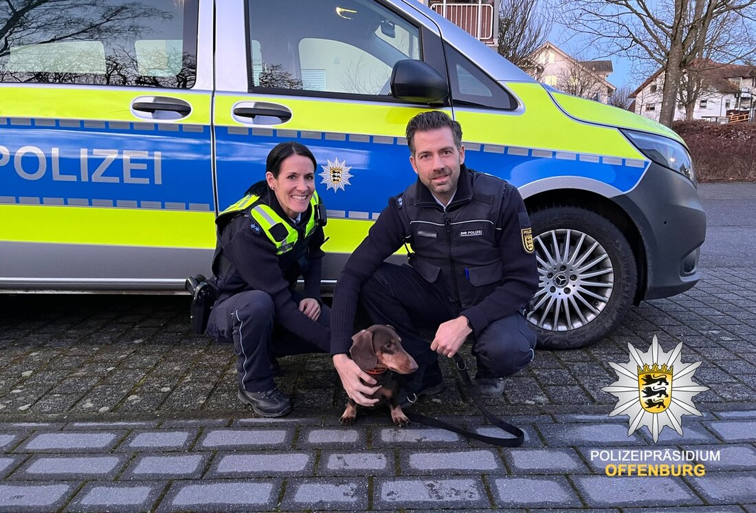 In Kehl wurde ein entführter Dackel namens "Nemo" erfolgreich zurückgebracht. Eine aufmerksame Anwohnerin alarmierte die Polizei, die die mutmaßliche Täterin festnahm.