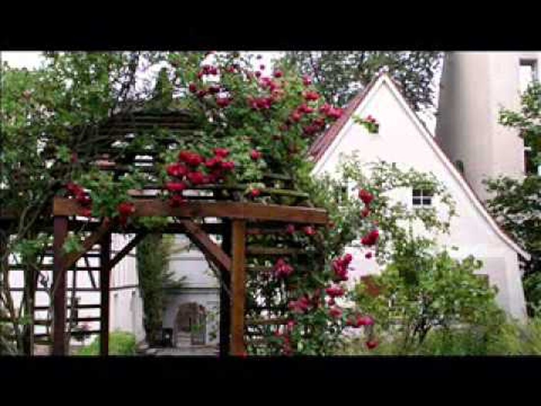 Das Schillerhaus in Leipzig ist seit jeher ein Besuchermagnet. 1785 residierte Friedrich Schiller in dem fast 300 Jahre alten Bauernhaus. Im Interview spricht Museumsdirektor Dietmar Schulze über das Engagement der Leipziger Bürger und das „Idol Schiller“. Youtube-Link