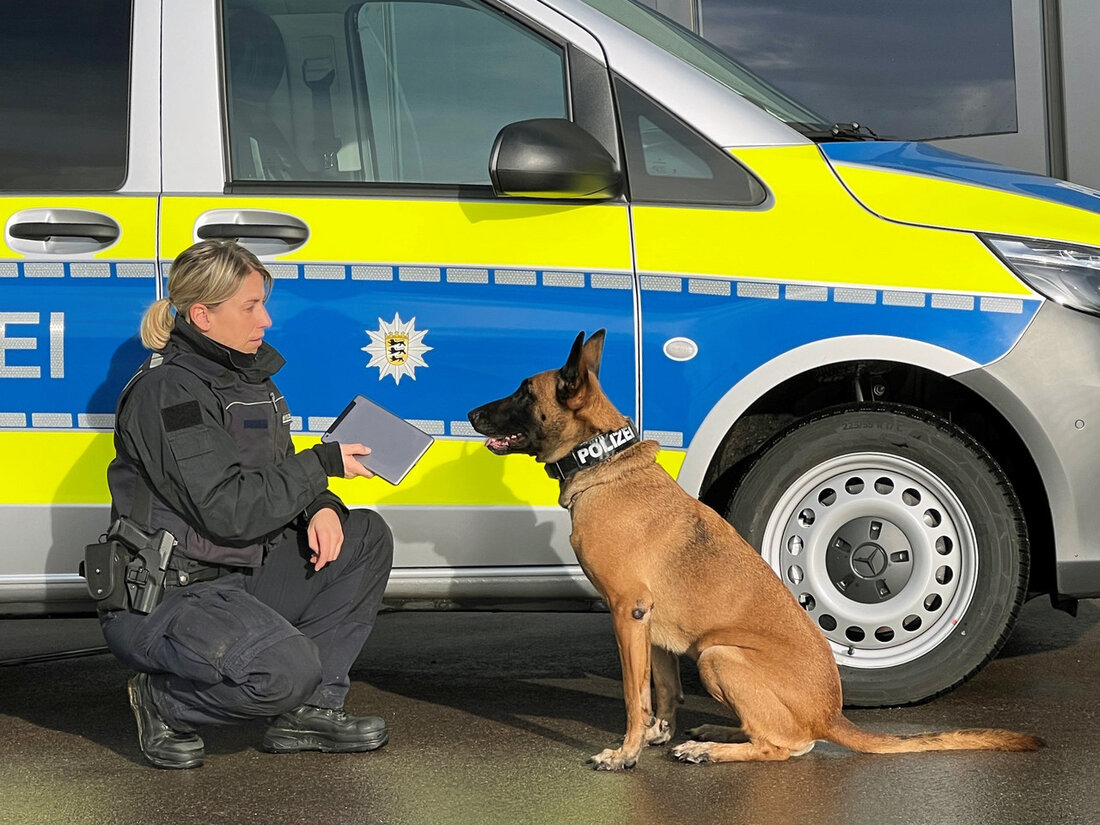 Datenträgerspürhunde verstärken Polizeiarbeit in Baden-Württemberg Die Polizei in Baden-Württemberg setzt ab sofort auf eine besondere Form der Unterstützung bei Durchsuchungs- und Kontrollmaßnahmen: Datenträgerspürhunde. Sechs hochqualifizierte Spürnasen wurden speziell ausgebildet, um bei der Suche nach wichtigem Beweismaterial, insbesondere auf Datenträgern, zu helfen. Innenminister Thomas Strobl betonte die Bedeutung dieser neuen Art von Spürhunden, da entscheidende Beweise heutzutage oft auf elektronischen Datenträgern zu finden seien. Die Datenträgerspürhunde sollen die Polizei bei einer Vielzahl von Ermittlungen unterstützen, darunter Wirtschaftsdelikte und die Bekämpfung von Kinderpornografie. Neben bereits etablierten Spürhunden zur Suche nach Rauschgift, Sprengstoff und anderen Materialien, werden die Datenträgerspürhunde nun gezielt eingesetzt. Die …