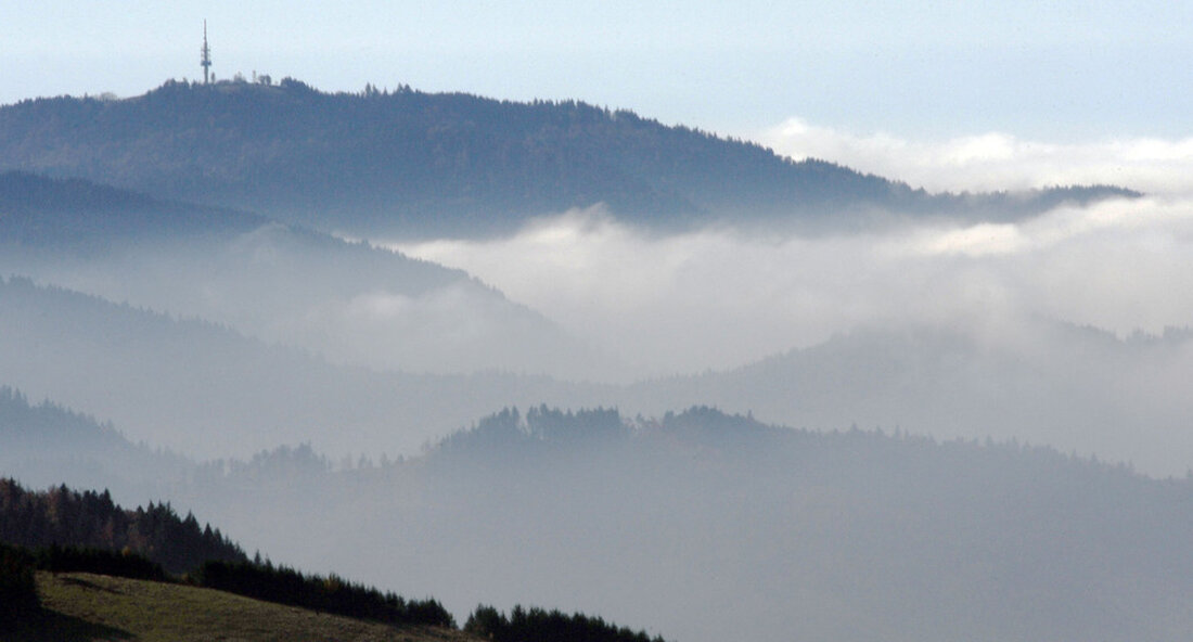 Der Waldzustandsbericht 2021 ist erschienen. Auch wenn die Wetterbedingungen in diesem Jahr dem Wald eine Verschnaufpause verschafften, ist die Lage dennoch besorgniserregend. Erstmals wurde auch der Waldboden untersucht. „Das kühle, feuchte Wetter des Jahres 2021 hat dem Wald eine Verschnaufpause verschafft. Der Zustand der Wälder in Baden-Württemberg hat sich vereinzelt leicht verbessert. Allerdings werden derzeit 42 Prozent der Waldfläche als stark geschädigt eingestuft. Entwarnung für unseren Wald kann noch nicht gegeben werden, die Lage ist nach wie vor besorgniserregend“, sagte der Minister für Ernährung, ländlichen Raum und Verbraucherschutz. Peter Hauk, anlässlich der Präsentation der Waldzustandsbericht 2021 (PDF). Die günstigen Wetterbedingungen …