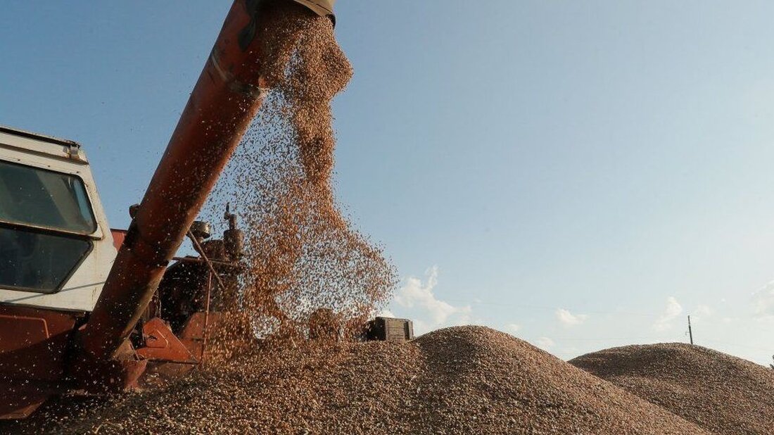 Die Ukraine hat bei der Welthandelsorganisation (WTO) Klagen gegen die Slowakei, Polen und Ungarn wegen deren Verbote für Lebensmittelimporte aus Kiew eingereicht. Es hieß, solche Beschränkungen seien ein Verstoß gegen internationale Verpflichtungen der EU-Nachbarn der Ukraine. Sie sagen, die Verbote seien notwendig, um ihre Landwirte vor Billigimporten zu schützen. Durch Russlands großangelegte Invasion der Ukraine im letzten Jahr wurden die Hauptschifffahrtsrouten am Schwarzen Meer nahezu lahmgelegt, und große Getreidemengen landeten in Mitteleuropa. „Für uns ist es von entscheidender Bedeutung zu beweisen, dass einzelne Mitgliedstaaten die Einfuhr ukrainischer Waren nicht verbieten können“, sagte die ukrainische Wirtschaftsministerin Julia Swyrydenko am Montag in …