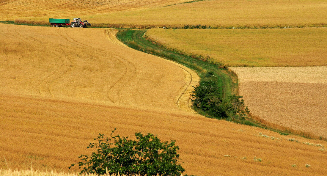 Baden-Württemberg führt digitale Antragstellung für landwirtschaftliche Förderungen ein Baden-Württemberg hat einen bedeutenden Schritt zur Digitalisierung der Landwirtschaft unternommen. Ab sofort können Landwirte in der Region den „Gemeinsamen Antrag“ für Förderungen der Gemeinsamen Agrarpolitik (GAP) bequem über die neue App „profil (bw)“ beantragen und verwalten. Dies wurde am 26. August 2024 von Peter Hauk, dem Minister für Ernährung, Ländlichen Raum und Verbraucherschutz, bekannt gegeben. Die App ermöglicht es Landwirten, Nachweise für bestimmte Prüfungen deutlich einfacher und effizienter zu erbringen, indem sie Fotos der geforderten Voraussetzungen direkt über die Plattform einreichen. Diese Neuerung soll vor allem dazu beitragen, den Verwaltungsaufwand für die …