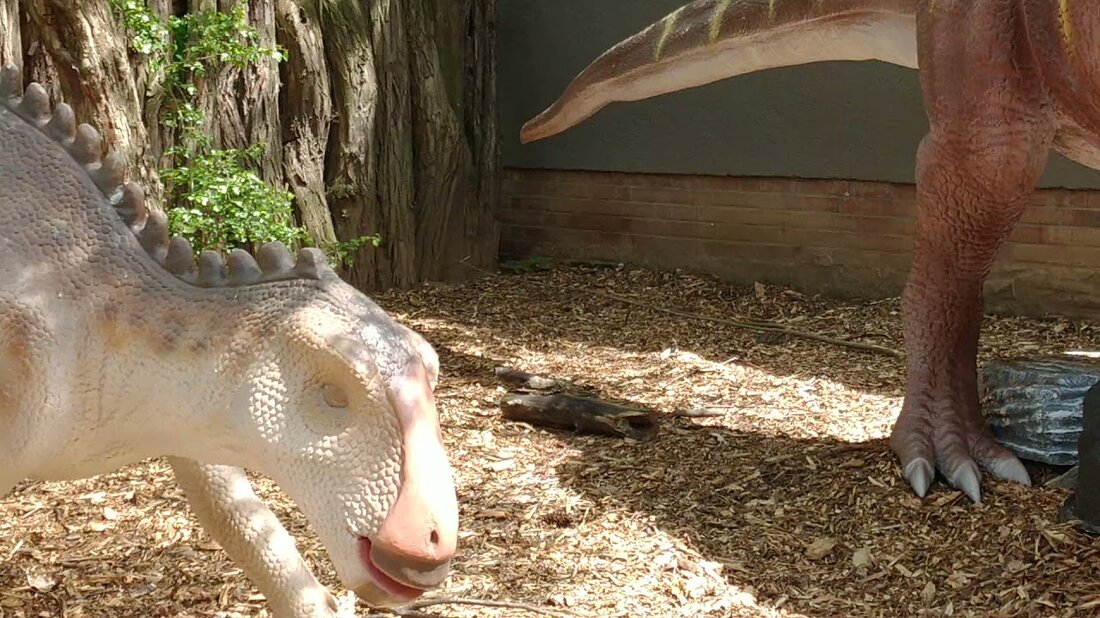einen Tag nach der Wiedereröffnung des Zoos und damit mit einer Dinosaurierausstellung Youtube-Link