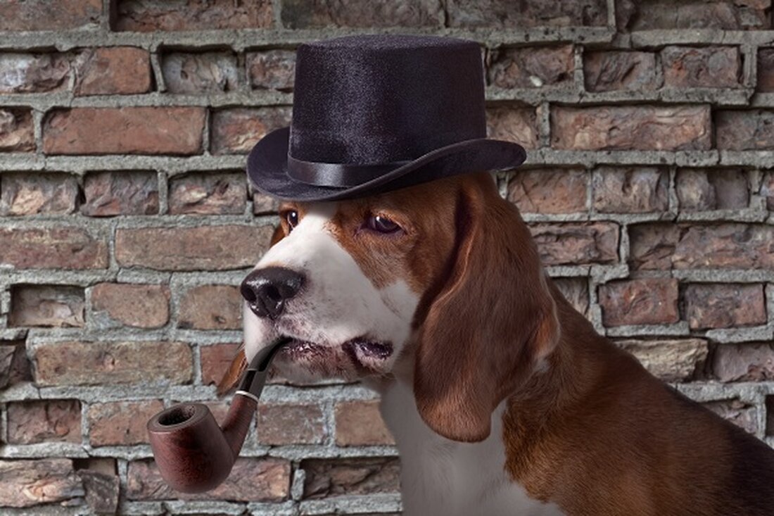 Dogwifhat (WIF) stieg aufgrund der NFT-Verkäufe um 60 %. Das Shibarium von Shiba Inu steigert den Preis von SHIB deutlich. Milei Moneda ($MEDA) prognostiziert einen Anstieg nach der Einführung von Uniswap. Kürzlich haben zwei von Memes inspirierte Token, Dogwifhat (WIF) und Shiba Inu (SHIB), mit ihren jüngsten Preissteigerungen und bemerkenswerten Erfolgen großes Aufsehen erregt. Während glückliche Anleger die Gewinne aus der WIF- und SHIB-Preisrallye genießen, Milei Moneda ($MEDA)ein neuer Akteur, taucht auf der Bühne auf und einige Analysten glauben, dass er den Anlegern erhebliche Gewinne bescheren könnte. Dogwifhat (WIF) vs. Shiba Inu (SHIB) Der auf Solana basierende Meme-Coin Dogwifhat (WIF) …