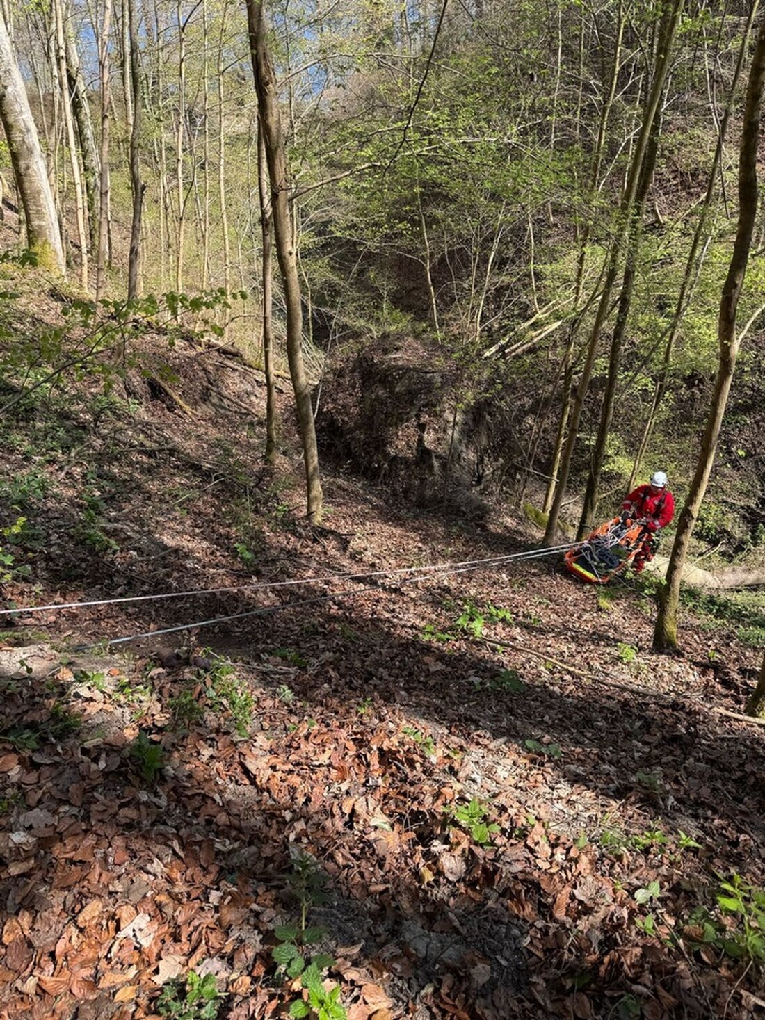 Am 11.04.2025 rettete die Feuerwehr Allensbach einen gestürzten Mann und seinen Hund aus der Marienschlucht.