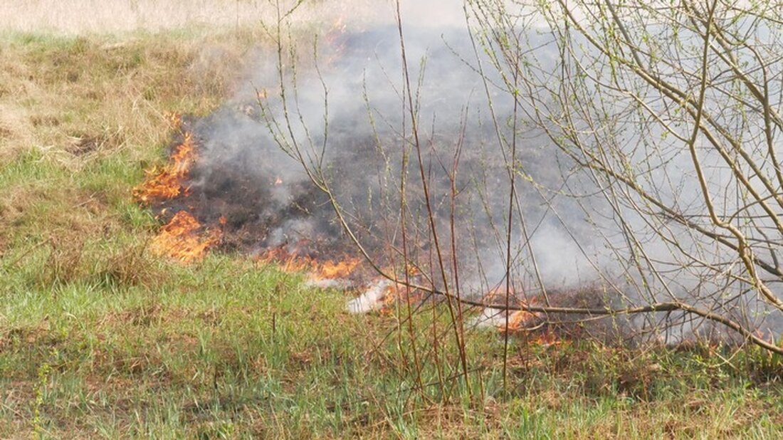 Freiwillige Feuerwehr Celle reagiert schnell: Drei Einsätze in 30 Minuten bei Vegetationsbrand, Verkehrsunfall und Garagenfeuer.