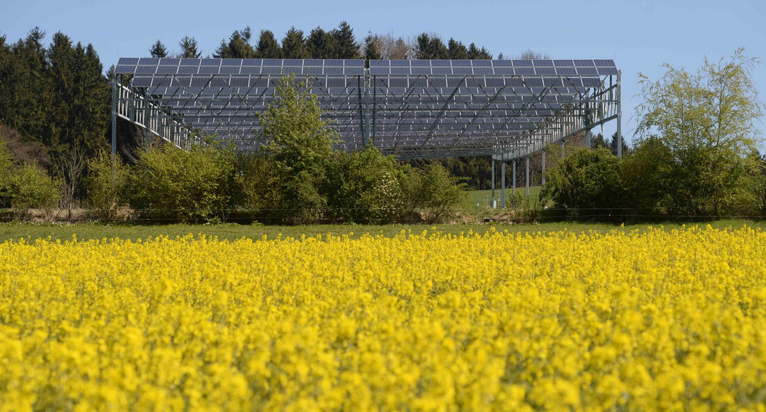 Bei der Staatlichen Lehr- und Versuchsanstalt für Wein- und Obstbau auf dem Obstversuchsgut Heuchlingen in Bad Friedrichshall wurde die dritte Pilotanlage der Modellregion Agri-Photovoltaik eingeweiht. Das Land will die besonderen Potenziale der Agri-Photovoltaik in Baden-Württemberg weiter ausbauen. „Die baden-württembergische Landesregierung hat sich als Ziel gesetzt, die Agri-Photovoltaik (Agri-PV) als flächeneffiziente Landnutzungsform fest zu etablieren und das Potenzial vor allem im Bereich der Sonderkulturen gezielt zu fördern. Ich freue mich daher, dass wir heute eine weitere Anlage einweihen können, die zur Erforschung dieser vielversprechenden Technologie und damit zu einer nachhaltigen Umsetzung der Energiewende, zu einer umweltgerechten landwirtschaftlichen Produktion und zur Eindämmung …