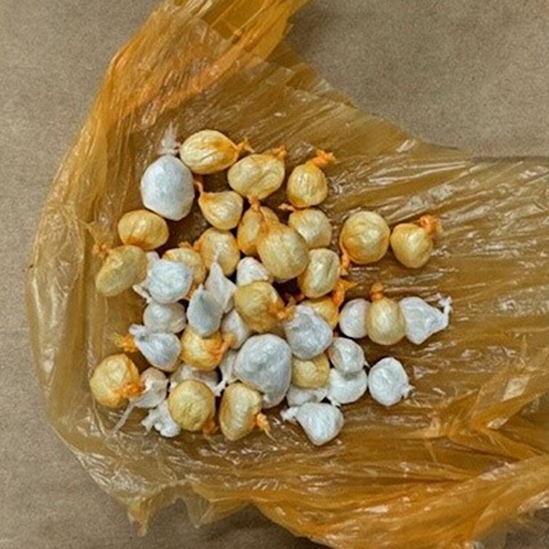 Die lippische Polizei vermeldet Erfolge im Kampf gegen albanische Drogendealer im Detmolder Gorki-Park: Bande wurde erfolgreich verdrängt.