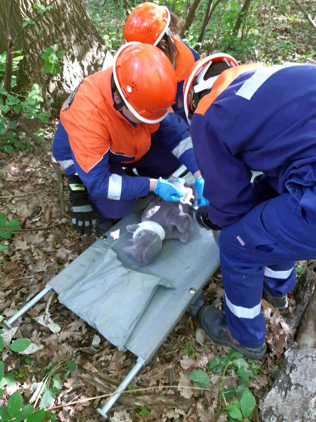 Am 26. April 2025 fand das Jugendfeuerwehr-Wochenende der Eicklinger Feuerwehr mit praxisorientierten Übungen und Rettungsaktionen statt.