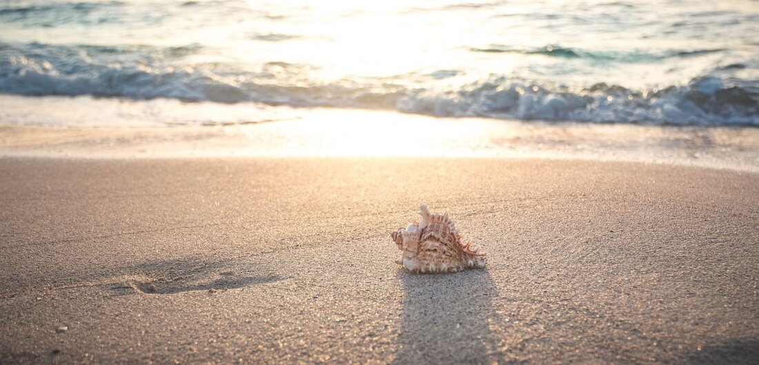 Entdecken Sie die Urlaubsziele unserer Leser aus Tuttlingen: von Sylt bis Kenia – inspirierende Reisefotos und Geschichten.