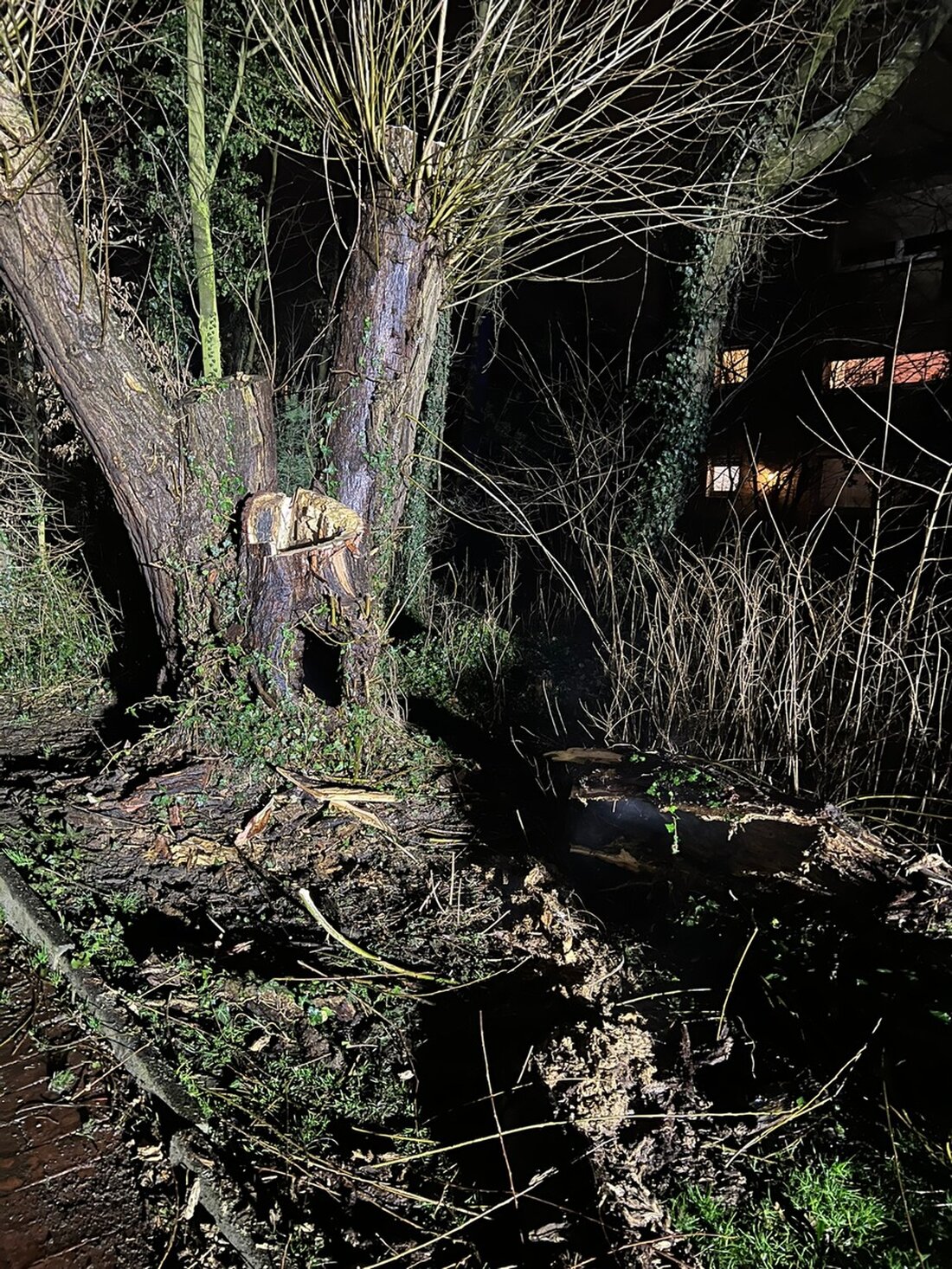 Am 13.02.2025 löschte die Feuerwehr Werne einen Brand im Baum am Hansaring, alarmiert um 19:13 Uhr. Einsatzkräfte waren vor Ort.