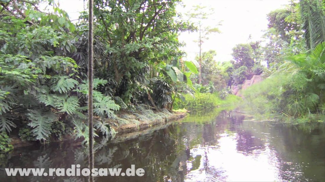 Die tropische Abenteuerwelt Gondwanaland im Leipziger Zoo ist ab dem 1. Juli 2011 um 10 Uhr für Besucher geöffnet. Die Einweihung der neuen Attraktion fand am Abend zuvor statt. Die tropische Abenteuerwelt von Gondwanaland entführt die Besucher in die faszinierende Welt der Tropen, die sie auf einer Bootsfahrt, auf Palmenwegen, von schwingenden Hängebrücken oder von Mammutbäumen erleben können. 300 Tiere leben hier angemessen in ihrer natürlichen Umgebung. . Youtube-Link